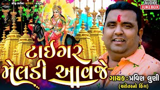 PRAVIN LUNI  MALATAJ MELDI MA REGDI  TIGER MELDI AAVJE  SHREEJI SOUND NADIAD [upl. by Alhsa532]