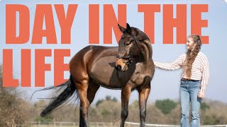 45 HORSES  A Day in My Life [upl. by Anjela]