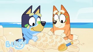 Les aventures ensoleillées de Bluey  Episodes complets  Bluey Français Chaîne Officielle [upl. by Klinges]