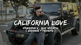 California Love  Cheema Y Gur Shidhu  Slowed And Reverb  Lofi Mix  Life In Lofi [upl. by Selimah271]