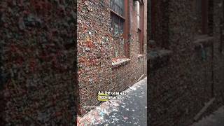 The Gum Wall Is Gone 😳 [upl. by Mines]