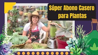 Súper abono casero para plantas para hacerlas crecer floración masiva y mejorar raíces [upl. by Margette]