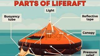 Do You Know the Importance of Life Rafts on Ships 🌊🚤” [upl. by Quickel]