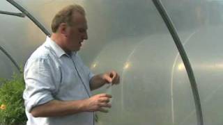 Repair a Polytunnels Polythene  V63 [upl. by Hurd269]