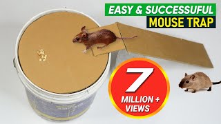 Bucket Mouse Trap  Best Mouse Trap  DIY Homemade mouse trap [upl. by Alimrahs]