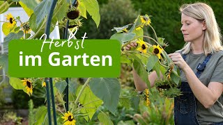 Gartentag im Herbst 🍂 Arbeiten in den Beeten und Vorbereitungen für den Winter  Gundermann [upl. by Cypro]