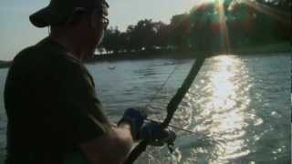 Muzzy Season 5 Bowfishing [upl. by Hilde]