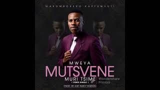 Mweya Mutsvene Muri Tsime Audio Version Minister Mako Kapfumvuti [upl. by Adara981]