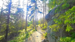 Po Szutrze i Błocie  Przewodniczek rowerowy MTB  6 Góry Izerskie Szklarska Poręba Singletrack 14 [upl. by Flagler]