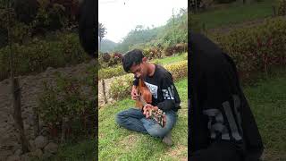 Fourtwnty  Aku tenang Cover menyatu dengan alam [upl. by Aihsekram]