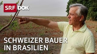 Schweizer Auswanderer in Brasilien – Suche nach einer besseren Zukunft  Reportage  SRF [upl. by Ogdon]