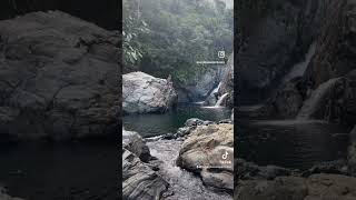 Welcome to Jurassic Park puertorico waterfall ropeswing sailing [upl. by Zalucki]