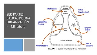 Seis Partes Básicas de una Organización  Estructura Mintzberg [upl. by Euqinahs]