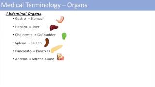 Medical Terminology  The Basics  Lesson 1 [upl. by Raynah]