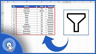 How to Create Filter in Excel [upl. by Arimat]