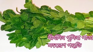 খুবই সহজ ভাবে দীর্ঘদিন পুদিনা পাতা সংস্করণ পদ্ধতি how to store Mint leavespudina pata songrokkhon [upl. by Jonathan]