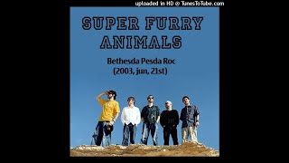 Super Furry Animals Live at Pesda Roc  2003 [upl. by Oirifrop279]