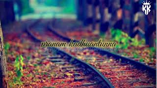 nanu vadhilina thanatho song lyrics  Karthik edits [upl. by Guarino]