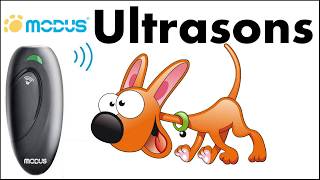 Electronique 🆕 commande à ultrasons anti aboiement pour chien 🐕 Modus Handheld ultrasonic 🐶 [upl. by Selrahc]