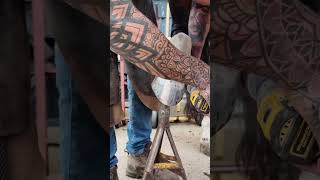 Farrier  Hoof Buffer asmr farrier satisfying horse [upl. by Nwahs255]