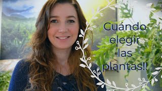 Diseño de jardines  Consejos Elegir las plantas [upl. by Weissmann264]