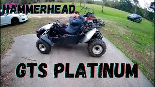 Hammerhead GTS Platinum 150 Gokart No Roof Is It Faster [upl. by Domonic529]