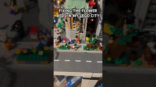 MOC FLOWER BEDS IN LEGO CITY shorts feed lego cambarryt [upl. by Kano]