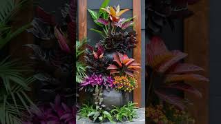 Top 10 Experts Approved Most Beautiful Flower Pots to Elevate Your Home [upl. by Esma]