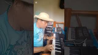 song roel Cortez cover piano music instrumental mp4 [upl. by Ycnaffit74]