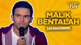 Malik Bentalah  LES MAGHRÉBINS  Bentalah se la raconte [upl. by Yelkcub]