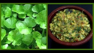 வல்லாரை கீரை கூட்டு செய்வது எப்படி  How to make Brahmi Leaves Kootu  South Indian Recipe [upl. by Sasnett180]