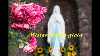 ROSARIO DI PADRE PIO  misteri gaudiosi del lunedì e sabato [upl. by Aynatahs105]