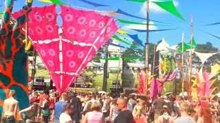 Psychedelic Circus Festival 2013  Neelix  PACELAND [upl. by Derina568]