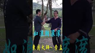 勁如浪潮滾滾來 xingyiquan 形意拳 太極拳 中国武术 qigong 氣功 baguazhang 八卦掌 [upl. by Arretnahs481]