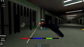 ROBLOX THE STREETS FINALE [upl. by Nhabois583]