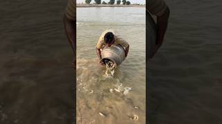 save life of fish’s from market fish fishfarmer fishinglife [upl. by Warfold400]