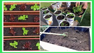 Spring Planting With My InLaws  Gardening Ideas  TeamFilGer [upl. by Aile]