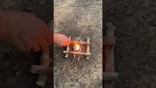 Making A Campfire  Log Cabin Fire Lay shorts [upl. by Vinson]