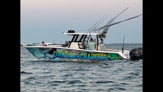 Destin Charter fishing sharks  red snapper  African pompano  Invincible 33 catamaran [upl. by Airot]