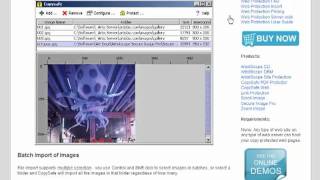 How To Copy Protect Web Pages And Media [upl. by Teillo257]