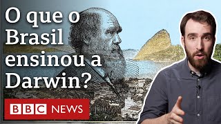 Darwin como viagem ao Brasil influenciou a Teoria da Evolução [upl. by Sosthena464]