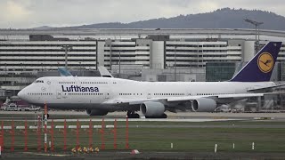 BEAUTIFUL TAKE OFF of Lufthansa Boeing 747800 At Frankfurt Airport [upl. by Emyle]