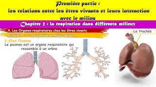 cours la respiration dans différents milieux [upl. by Aneema]