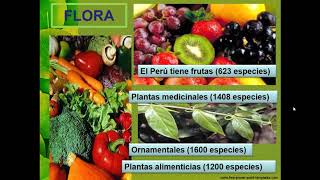 Biodiversidad en el Perú ppt [upl. by Ixela948]