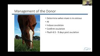 Dr Gomez Webinar Part 4 Embryo Transfers [upl. by Mortie]