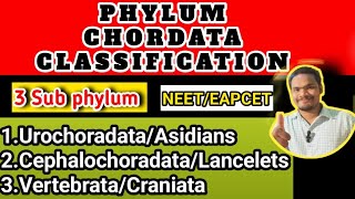 Phylum chordata classificationphylum chordata class 11 by Sagar zoology [upl. by Swetiana954]