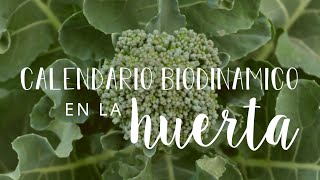 CALENDARIO BIODINÁMICO en la HUERTA  Breve GUÍA sobre cómo utilizarlo para nuestros CULTIVOS 🌙🌱 [upl. by Alrak]