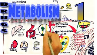 Biotransformation of drugs part 1  metabolism of drugs  Pharmacokinetics [upl. by Okiman49]