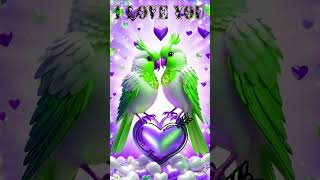 p love JAAN I LOVE YOU [upl. by Ninon]