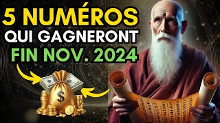 5 Numéros Chanceux à ne pas manquer pour le 20 novembre 2024 [upl. by Nomis764]